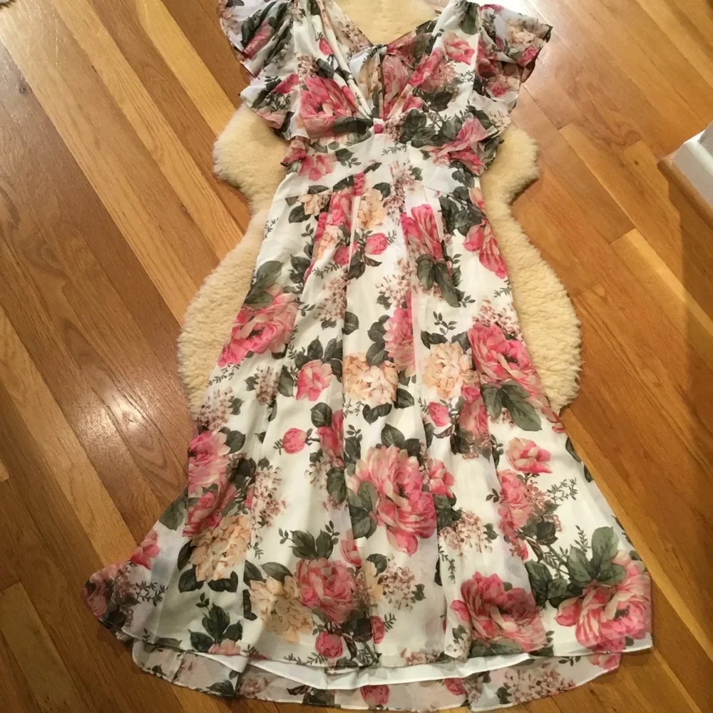 Divine Heritage floral Cottagecore style midi dress - Picture 1 of 14